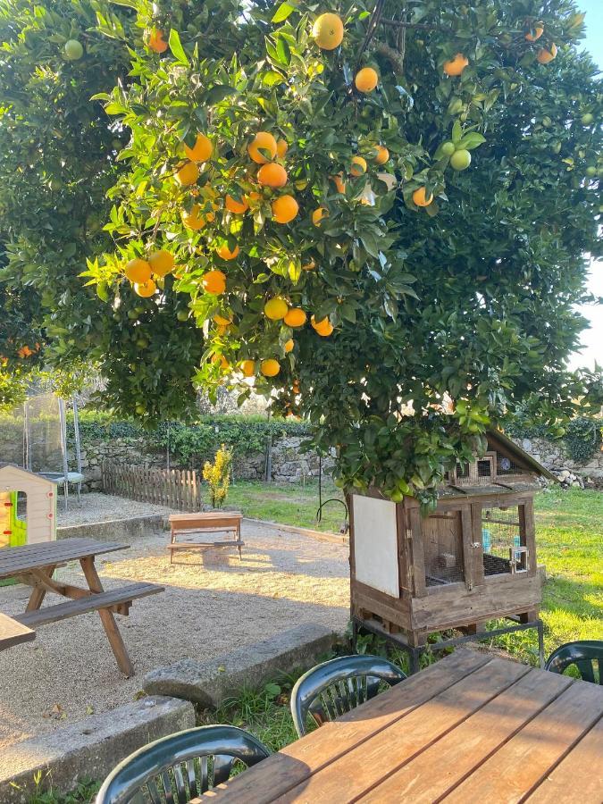 Apartment Quinta De Areias Crespos 外观 照片