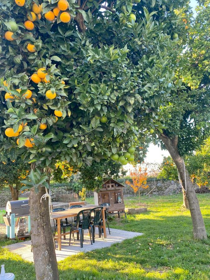 Apartment Quinta De Areias Crespos 外观 照片